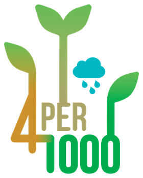 4p1000-logo.png